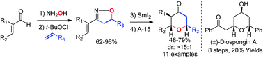 Graphical abstract: A short and flexible route to tetrahydropyran-4-ones via conjugated nitrile oxides cycloaddition and oxa-Michael cyclization: a concise diastereoselective total synthesis of (±)-diospongin A