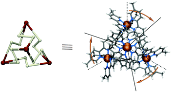 Graphical abstract: Structural design principles for self-assembled coordination polygons and polyhedra