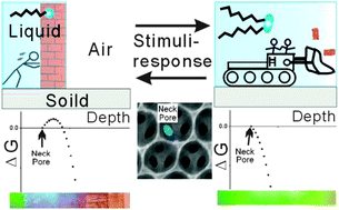 Graphical abstract: Wettability gradient colorimetric sensing by amphiphilic molecular response