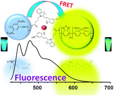 Graphical abstract: Photoactivated ratiometric copper(ii) ion sensing with semiconducting polymer dots