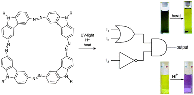 Graphical abstract: Cyclotetraazocarbazole – a multichromic molecule