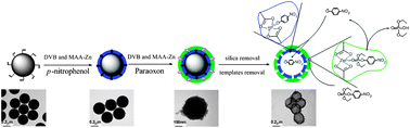 Graphical abstract: A dual-template imprinted capsule with remarkably enhanced catalytic activity for pesticide degradation and elimination simultaneously