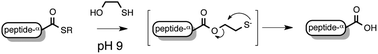 Graphical abstract: Rapid formal hydrolysis of peptide-αthioesters