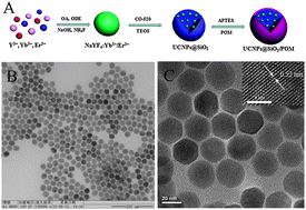 Graphical abstract: Multifunctional polyoxometalates-modified upconversion nanoparticles: integration of electrochromic devices and antioxidants detection