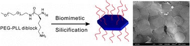 Graphical abstract: One-step synthesis of water dispersible silica nanoplates