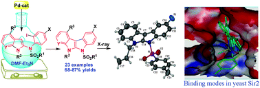 Graphical abstract: Conformationally restricted functionalized heteroaromatics: a direct access to novel indoloindoles via Pd-mediated reaction