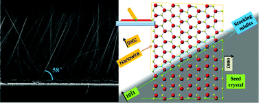 Graphical abstract: Inclined and ordered ZnO nanowire arrays developed on non-polar ZnO seed-layer films