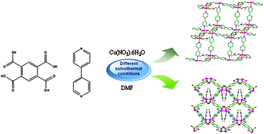 Graphical abstract: Two pillared-layer metal–organic frameworks constructed with Co(ii), 1,2,4,5-benzenetetracarboxylate, and 4,4′-bipyridine: syntheses, crystal structures, and gas adsorption properties