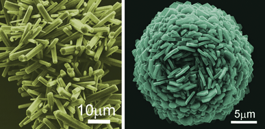 Graphical abstract: Mineralization of unique barium carbonate crystal superstructures controlled by a liquid crystalline phase polymer