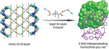 Graphical abstract: Hydrogen bond-organized two-fold interpenetrating homochiral pcu net