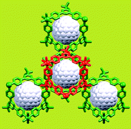 Graphical abstract: Bucky-blocks: templating a coordination network with C60