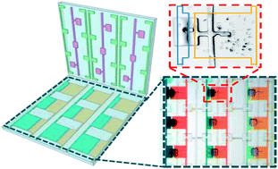 Graphical abstract: Microfluidic approach to polymorph screening through antisolvent crystallization