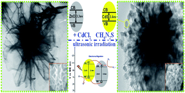 Graphical abstract: Synthesis of ZnO/CdS hierarchical heterostructure with enhanced photocatalytic efficiency under nature sunlight