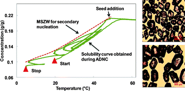 Graphical abstract: Automated direct nucleation control for in situ dynamic fines removal in batch cooling crystallization