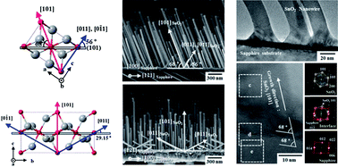 Graphical abstract: Synthesis of well-aligned SnO2 nanowires with branches on r-cut sapphire substrate