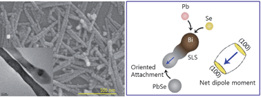 Graphical abstract: Enhanced formation of PbSe nanorodsvia combined solution–liquid–solid growth and oriented attachment