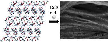 Graphical abstract: CdS quantum dots doped with a peptide matrix: structural and photoelectrochemical properties