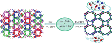 Graphical abstract: Solvent influences structural variation from a 3D 4-fold interpenetrated framework to a 2D layer-type porous coordination polymer: Structure analysis and highly selective gas adsorption properties