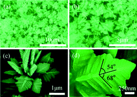 Graphical abstract: Controlled synthesis of three-dimensional CoNi microstructures composed of single crystal CoNi nanoleaves