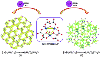 Graphical abstract: Two-dimensional (6,3) networks obtained with the {Cu3(Hmesox)3}3− secondary building unit (H4mesox = mesoxalic acid)