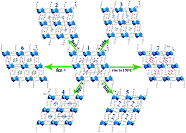Graphical abstract: Guest-induced expanding and shrinking porous modulation based on interdigitated metal–organic frameworks constructed by 4,4′-sulfonyldibenzoate and barium ions
