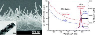 Graphical abstract: Solution–liquid–solid growth of high-density CdTe nanowires on glass substrates and core/shell structure formation