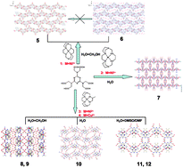 Graphical abstract: Supramolecular architectures based on various macrocyclic metallic tectons with 1,3,5-triazine-2,4,6-triamine hexaacetic acid ligand