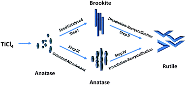 Graphical abstract: Large scale synthesis of V-shaped rutile twinned nanorods