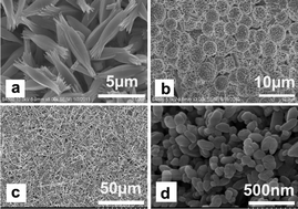 Graphical abstract: Solvothermal synthesis of luminescent Eu(BTC)(H2O)DMF hierarchical architectures