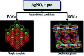 Graphical abstract: Polyoxoanion-enveloped Ag/ptz inorganic–organic hybrid system: From a single to a double template