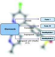 Graphical abstract: Polymorphs and hydrates of Etoricoxib, a selective COX-2 inhibitor