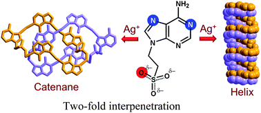 Graphical abstract: Water adsorbing silver–adenine interpenetrated framework