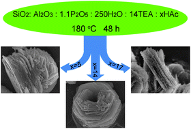 Graphical abstract: Hydrothermal synthesis of SAPO-5 with novel morphologies from hydrogels containing acetic acid and high concentration of triethylamine under neutral or alkaline conditions