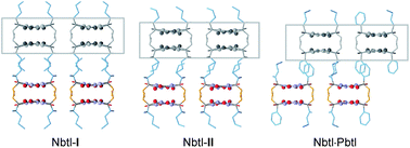 Graphical abstract: Supramolecular constructs and thermodynamic stability of four polymorphs and a co-crystal of pentobarbital (nembutal)