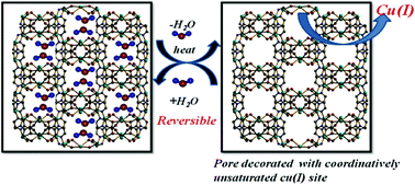 Graphical abstract: Highly rigid and stable porous Cu(i) metal–organic framework with reversible single-crystal-to-single-crystal structural transformation