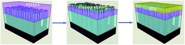 Graphical abstract: A unique strategy for improving top contact in Si/ZnO hierarchical nanoheterostructure photodetectors