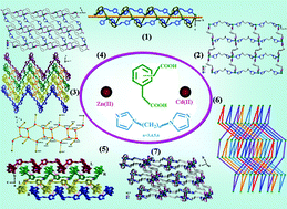 Graphical abstract: Isomeric phenylenediacetates as modular tectons for a series of ZnII/CdII coordination polymers incorporating flexible bis(imidazole) co-ligands