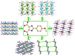 Graphical abstract: Design and construction of six metal–organic frameworks with 2-p-methoxyphenyl-1H-imidazole-4,5-dicarboxylate