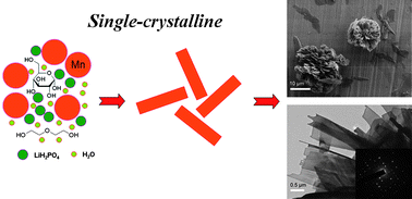 Graphical abstract: Flower-like LiMnPO4 hierarchical microstructures assembled from single-crystalline nanosheets for lithium-ion batteries