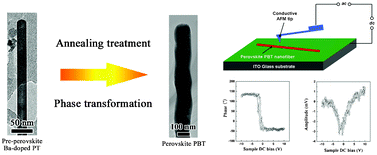 Graphical abstract: Doping and phase transformation of single-crystal pre-perovskite PbTiO3 fibers with TiO6 edge-shared octahedra