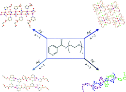 Graphical abstract: Effect of increasing ligand length on the structure of silver complexes