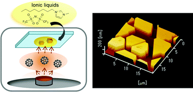 Graphical abstract: Ionic liquid-mediated epitaxy of high-quality C60 crystallites in a vacuum