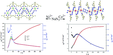 Graphical abstract: Spin canting and metamagnetism in the two azido-bridged 1D complexes [Ni(3,5-dmpy)2(N3)2]n and [Co1.5(3,5-dmpy)3(N3)3]n