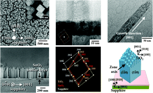 Graphical abstract: Hetero-epitaxial growth of vertically-aligned TiO2 nanorods on an m-cut sapphire substrate with an (001) SnO2 buffer layer