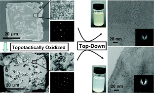 Graphical abstract: SnO mesocrystals: additive-free synthesis, oxidation, and top-down fabrication of quantum dots
