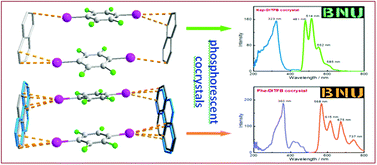 Graphical abstract: Phosphorescent cocrystals constructed by 1,4-diiodotetrafluorobenzene and polyaromatic hydrocarbons based on C–I⋯π halogen bonding and other assisting weak interactions