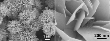 Graphical abstract: Synthesis of phase-pure SnO2 nanosheets with different organized structures and their lithium storage properties