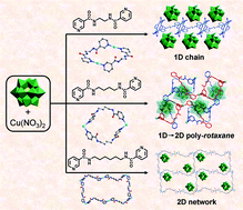 Graphical abstract: Tuning the architectures of polyoxometalate-templated complexes by changing the spacer lengths of bis-pyridyl-bis-amide ligands (L): from 1D chains to 2D networks based on different (CuL)n loops