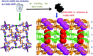Graphical abstract: Crystal to crystal transformation induced a novel Cu(ii)-MOF with zigzag ⋯I3−⋯I3−⋯ chains