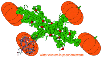 Graphical abstract: “Liquid-like” type (COO−)2(H2O)10 anion water clusters in three-dimensional supramolecular structure of cucurbit[6]uril